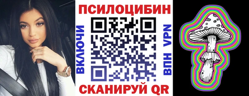 где можно купить   Суджа  МЕГА ССЫЛКА  Галлюциногенные грибы Psilocybe 