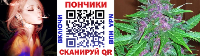 Бошки Шишки MAZAR  Суджа 